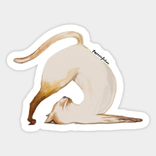 Purrrfection Yoga Cat Sticker